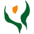 logo_palliativnetz-peine Logo palliativnetz peine